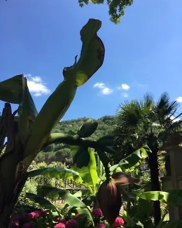 Waikiki Apartmán